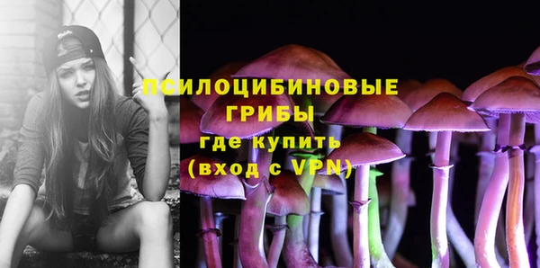 мет Новодвинск