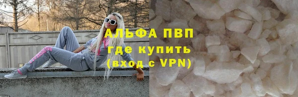 гашик Новозыбков
