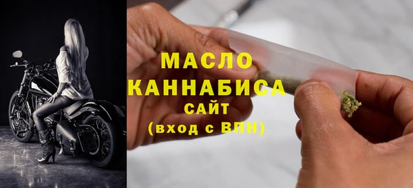 гашик Новозыбков