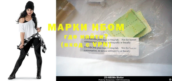 гашик Новозыбков