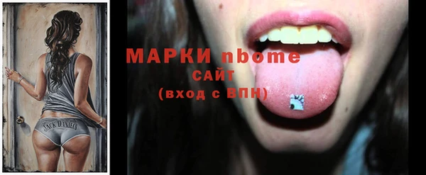 гашик Новозыбков