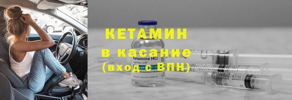 индика Кадников