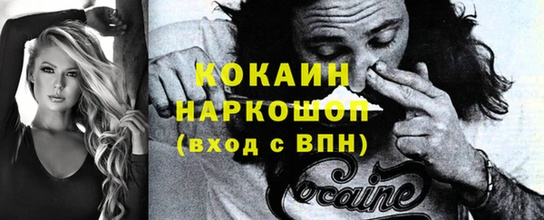 молекула духа Няндома