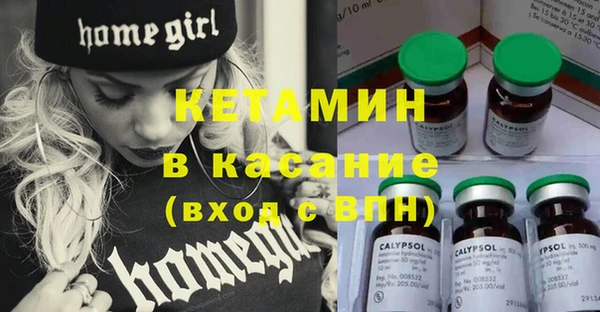 гашик Новозыбков